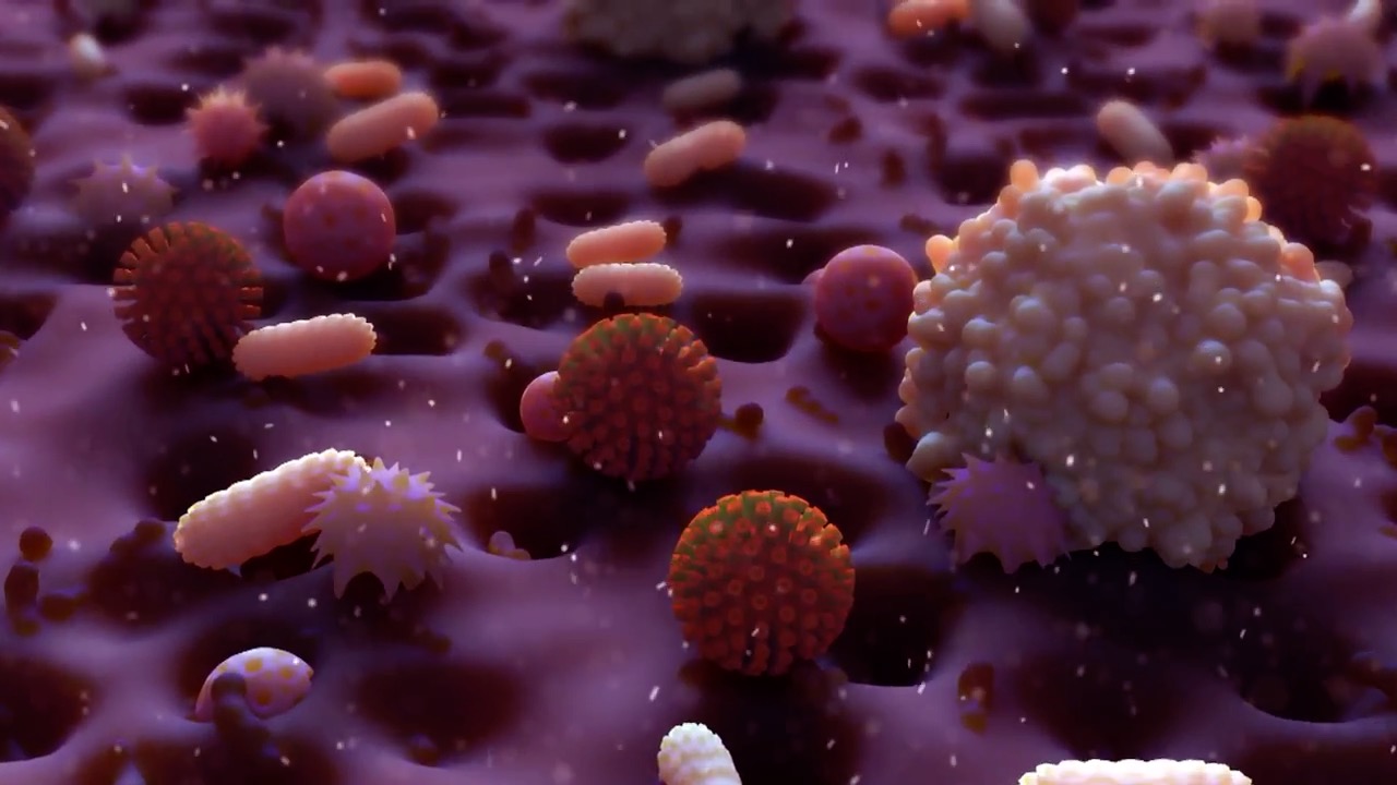 Bloodborne Pathogens